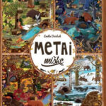 miškas keturiais metų laikais