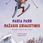 berniukas su slidėm