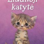 liūdna katytė