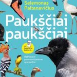 paukščiai