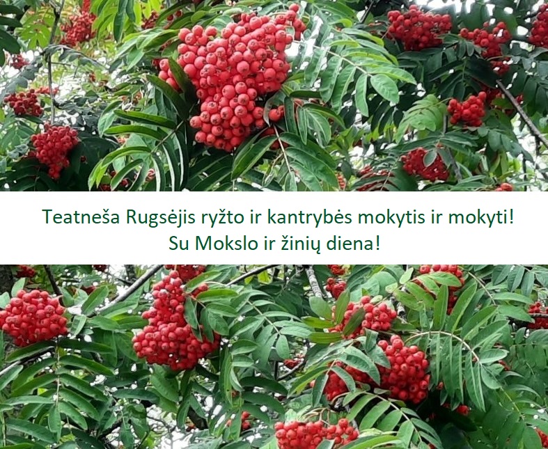 Šermukšnių fone sveikinimas Su Mokslo ir žinių diena!