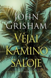 palmės viršūnė