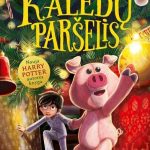 berniuka su kalėdų paršeliu