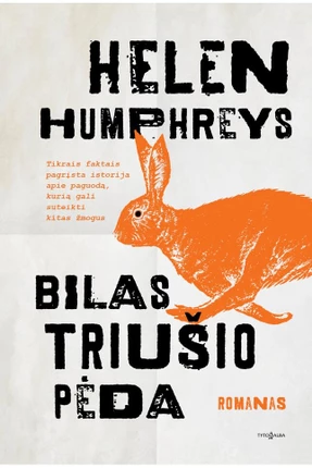 nupieštas triušis