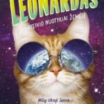 katinas su akiniais nuo saulės