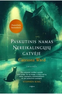 katinas sėdi gatvėje prie namo naktį