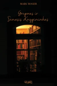 Knygų lentynos už lango