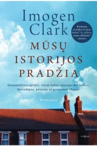 Namų stogai