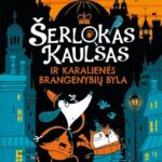 šuo ir katinas bėga naktį tamsiame mieste