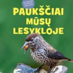 tupi paukštis ir laiko snape riešutą