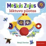 meškiukas skrenda lėktuvu
