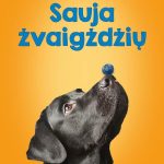 šuo ant nosies galiuko laiko uogą