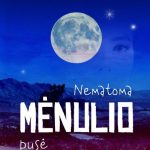 mėnulis naktį, tolumoje žmogaus veidas