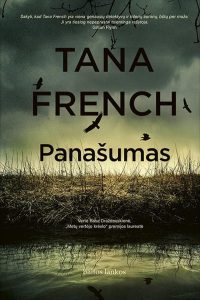 virš tamsaus dangaus skraido paukščiai