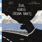 šuo naktį eina keliu, tolumoje matosi kalnai