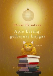 katinas tupi ant knygų krūvos