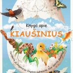 iš kiaušinio išsiritęs ančiukas
