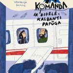 žmonės žiūri pro lėktuvo langą