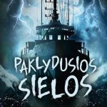 laivas audroje