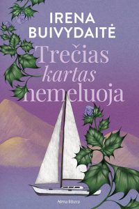 tolumoje plaukia burinis laivas