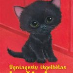 juodas kačiukas